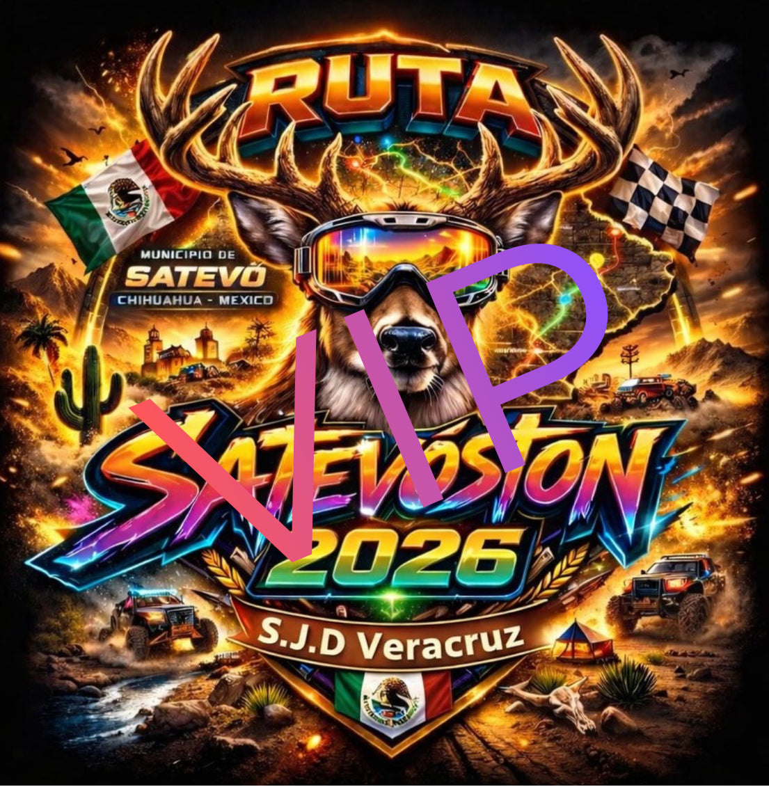 Kit VIP UTV/RZR
